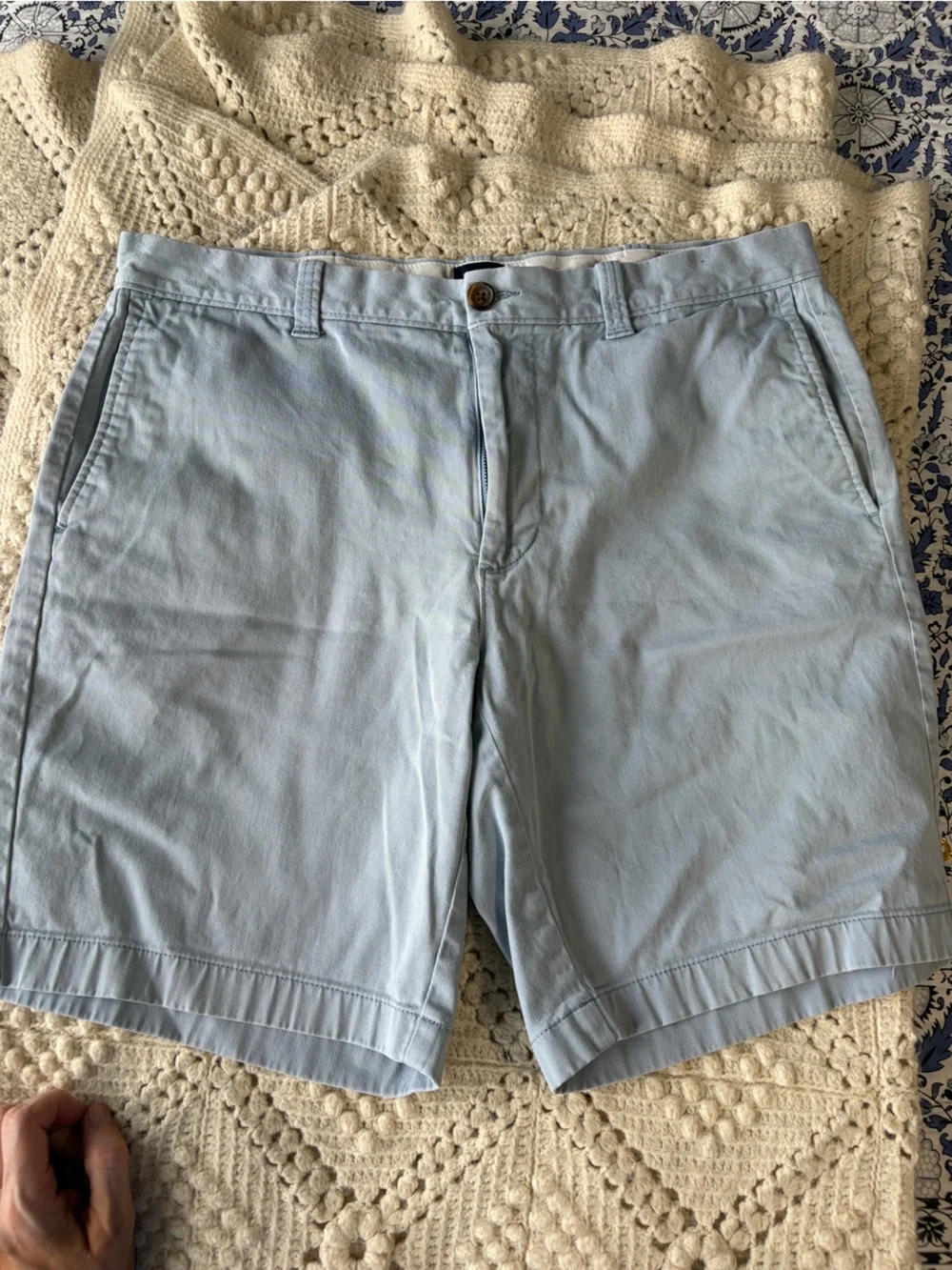 J. Crew Light Blue shorts 9